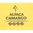 Alpaca Camargo