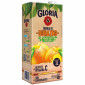 GLORIA "PEACH" FRUIT JUICE, BOX OF 1 LITER
