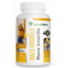 NATURALMAXX YELLOW MACA IN CAPSULES NATURAL SUPPLEMENT, JAR X 100 UNITS