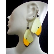 WHOLESALE INCA BUTTERFLY WINGS EARRINGS VARIED IMAGES